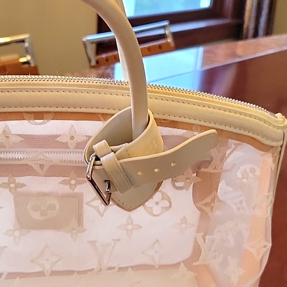 Louis Vuitton Ltd. Ed. Locket Transparence Satchel - Picture 15 of 15